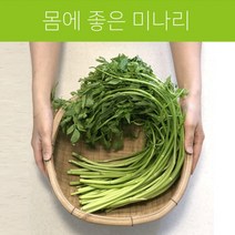 깨끗한 세척 돌미나리, 500g, 1개