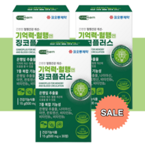 은행잎 추출물 징코 플러스 기억력 혈행엔 뇌 두뇌개선 포스파티딜 세린 핼액순환, 90정3박스(3개월분)