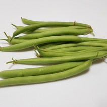그린빈 생그린빈스 껍질콩 줄기콩 산지직송, 5번.그린빈스(2kg)