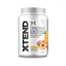 엑스텐드 BCAA 오리지널 파우더 피치아이스티맛 90회분 정식제품, 상품+애니멀쉐이커740ml블랙