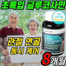 내츄럴플러스 차태현 광고 글루코사민 녹색 그린 초록입 초록잎 홍합 8개월 분 무릎 관절 연골 영양제 키틴 약 X 디메틸 디메딜 설폰 허리 통증 걸루 그루 굴루 코사민 크사민 쿠사민