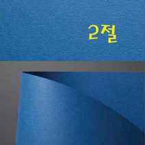 두성 116g 디자이너스지 2절지 낱장판매, L68