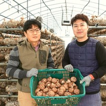 국산 무농약 표고버섯, 중품 1kg