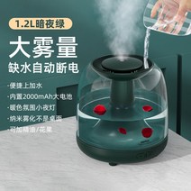 가열식가습기 웰포트 가열식 가습기 휴대용 무음 침실﻿RT-A500, 다크나이트 그린(간편한 수분가득)