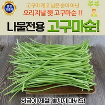 나물전용 햇 고구마순 4kg, 1개