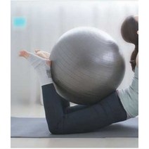 짐볼 55cm 65cm 요가 소녀시대수영 아침운동 홈트기구 척추 몸풀기, 블루