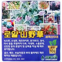 로얄 산야초 1리터 10리터