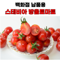 스테비아 토망고 방울토마토 맛집 핵꿀맛 산지직송 500g, 4개