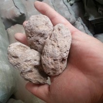 베타물고기 구피 해수어 금붕어키우기 작은 크기 5cm 자연 독특한 모양 수족관 물고기 탱크 부동 바위 돌