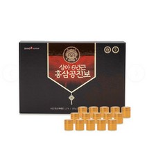 상아제약 실속형 상아 공진보 건강환 30p, 105g, 2개입