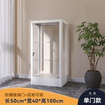 피규어 프라모델 아크릴 진열 보관함 디스플레이 정리함 전시대 스탠드, 단일 도어 100 x 50 x 40 3층