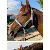 보호장비 마방굴레 로프 승마용품 끈 말고삐, 금색 깜박임 검정 L(말줄 없음)