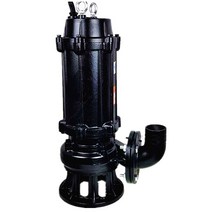 농업용 소형 양수기 펌프 수중 모터 물 퍼내는 기계, 750W/2인치