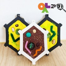세포모형 만들기 EVA소재 프레임 틀 과학실습재료 DIY, 만들기 전체키트