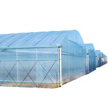 원예 악세서리 부품 아연 도금 강관 야채 사육 타원형 튜브 결합 된 연결 창고, 폭 6m 길이 10m의 롤 필름 버전(드립 필름을