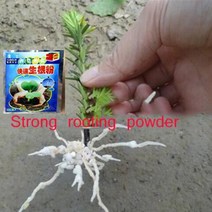 정원 원예 복합 비료 1pc 빠른 뿌리 분말 실용적인 추가 빠른 뿌리 식물 꽃 이식
