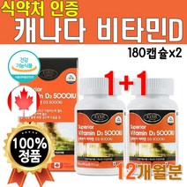 식약처 인증 고함량 비타민D 5000IU 180캡슐 2박스 12개월분 캐나다산 수입 햇빛 비타민D3 비타민디 청소년 노인 남자 여자 직장인 40대 50대 영양제, 2개