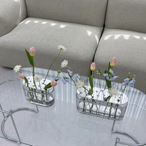 네르하 이케바나 롱 중형 대형, 오로라