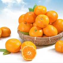 다사모농장 저농약 제주감귤 10kg-15kg 소과/중과/로얄과, 제주 감귤 10KG (S M) 4-5번 로얄과