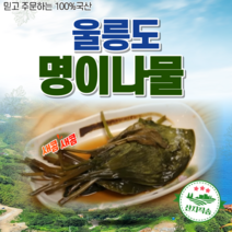 울릉도 국내산100% 자연산 명이나물 삼겹살찰떡궁합 400g 1kg 15KG 산지직배송, 매운맛, 1개