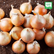 [미미의밥상] [산지직송] GAP인증 23년산 전남무안 양파 10kg (대), 1개