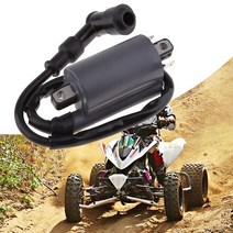 Buyang Feishen Linhai 260 260cc 300cc D300 G300 ATV 쿼드 오토바이 액세서리 용 고성능 오토바이 점화 코일, 협동사