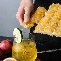 얼음 아이스 메이커 트레이 비닐 봉지 팩 봉투 10P, 쿠팡 영앤동 1, 얼음비닐10매