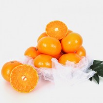 제주 천혜향 3kg(8-10과) 설명절선물 당도높은 제철과일, 상세페이지 참조, 상세페이지 참조