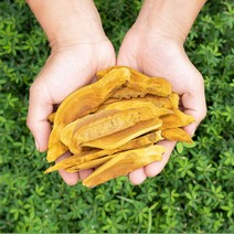국산 산지직송 장수상황버섯 100g 절편