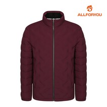 [올포유] 남성 구스다운 점퍼 AMDJJ4304-415_G