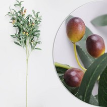 조화 올리브 나무 열매 잎 씨드 가지 100cm 인조나무 거실 매장 플랜테리어 실내 조경 장식 식물 소재