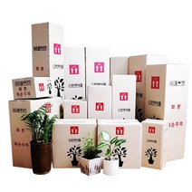 박스365 튼튼한 꽃 생화 화훼 나무 화분 화초 식물 택배박스 29종 모음, 10개입, 연갈색 박스 A626 10장(230*230*1200)