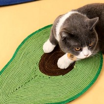 고양이 아보카도 스크래쳐놀이 스크래칭장난감 아깽이