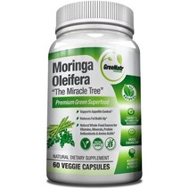 그리네이터 모링가 올리페라잎 추출 자연종합비타민 GreeNatr Moringa Oleifera Leaf 1000mg 60캡슐