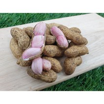 [예천 햇땅콩] 국산 피땅콩 껍질땅콩 생땅콩, 5kg