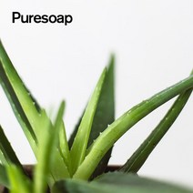 퓨어솝 알로에베라겔(모이스트) (손세정제 수딩젤 만들기) 화장품 만들기, 1kg