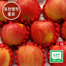 [포천 사과] GAP인증 껍질째 먹는 명작 포천 홍로사과 난이사과, 1박스, 10kg(28과)