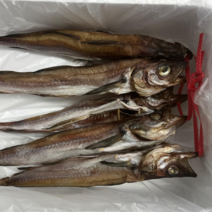 동해에서 건조한 반건조 손질 생선 코다리 임연수 기름가자미 물가자미 가자미세꼬시회, 코다리 1묶음 (5마리)