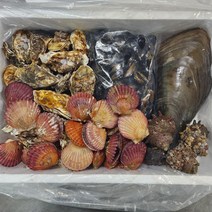 제철 국내산 캠핑 모듬조개세트 2kg / 4kg, 중 (2kg 내외)