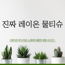 신제품 두꺼운 두툼한 대형 물티슈 5팩 10팩 20팩 캡형 플레인 엠보싱 빅사이즈 청소용 환자용 먼지제거 차량용 책상 유모차 잘닦이는 세정티슈 물티슈 깨끗한, 플레인 물티슈(450g) 60매 x 10팩