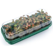 지피펠렛용 직사각 트레이 블랙 삽목 킷트 10구 친구 플라워 씨앗모종 꽃 식물 꽃바구니 집