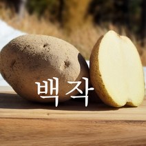 강원도 씨감자 두백 수미 단오 백작 대서 홍영 자영 자색씨감자 종자 홍감자 왕산종묘, 백작 3kg