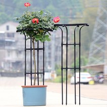 21세기트랜드 스프링 식물 지지대, 스프링 식물 지지대-지름32cm 높이155cm