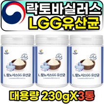 락토바실러스 람노수스 LGG 프로바이오틱스 파우더 실온보관 물에타먹는 가루 분말 LACTOBACILLUS RHAMNOSUS 장내유익균 중년 장년 50대 40대 60대 여성 여자 주부 속편한