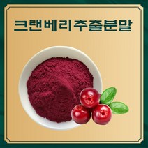 엔트코 크랜베리농축분말 1kg, 단품, 단품