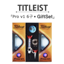 타이틀리스트 Pro V1 6구 골프공 자석티마커 선물세트, FREE FREE, 상세 설명 참조