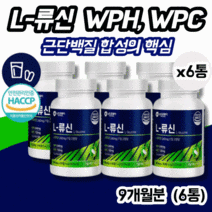 류신 류신타블렛 근육단백질 류신캡슐 류신단백질알약 유청단백질류신 근육단백질여성 류신아미노산 leucine 류신캡슐 농축유청단백질분말 순수유청단백질 프로틴 루신 뉴신, L-류신 유청단백질 90정 X6통, 6개