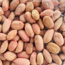 알땅콩 500g 국산, 볶음알땅콩500g