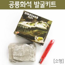 공룡화석 발굴키트(소형) RTS