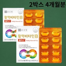 종근당 비타민b 컴플렉스 비타민비 비타민b군 비타민 비군 수용성 활력 2박스 약 4개월분, 2박스 4개월분